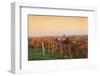 View over Vineyards to the Wine Village Burrweiler in Autumn at Sunset-Marcus Lange-Framed Photographic Print