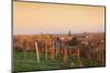 View over Vineyards to the Wine Village Burrweiler in Autumn at Sunset-Marcus Lange-Mounted Photographic Print