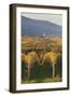 View over Vineyards to the Wine Village of Burrweiler in Autumn-Marcus Lange-Framed Photographic Print