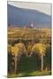 View over Vineyards to the Wine Village of Burrweiler in Autumn-Marcus Lange-Mounted Photographic Print