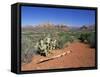 View Over West Sedona from the Slopes of Table Top Mountain, Arizona, USA-Ruth Tomlinson-Framed Stretched Canvas