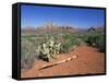 View Over West Sedona from the Slopes of Table Top Mountain, Arizona, USA-Ruth Tomlinson-Framed Stretched Canvas