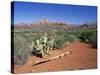 View Over West Sedona from the Slopes of Table Top Mountain, Arizona, USA-Ruth Tomlinson-Stretched Canvas