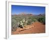 View Over West Sedona from the Slopes of Table Top Mountain, Arizona, USA-Ruth Tomlinson-Framed Photographic Print