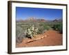 View Over West Sedona from the Slopes of Table Top Mountain, Arizona, USA-Ruth Tomlinson-Framed Photographic Print