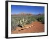 View Over West Sedona from the Slopes of Table Top Mountain, Arizona, USA-Ruth Tomlinson-Framed Photographic Print