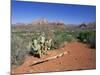 View Over West Sedona from the Slopes of Table Top Mountain, Arizona, USA-Ruth Tomlinson-Mounted Photographic Print