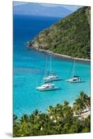 View over White Bay, Jost Van Dyke, British Virgin Islands, West Indies, Caribbean, Central America-Michael Runkel-Mounted Premium Photographic Print