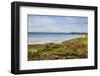 View over Whitepark Bay (White Park Bay), County Antrim, Ulster, Northern Ireland, United Kingdom-Michael Runkel-Framed Photographic Print