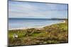 View over Whitepark Bay (White Park Bay), County Antrim, Ulster, Northern Ireland, United Kingdom-Michael Runkel-Mounted Photographic Print