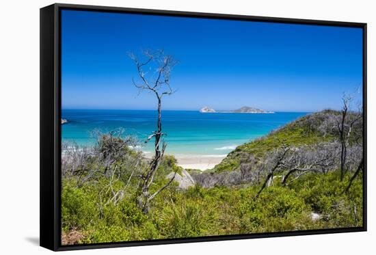 View over Wilsons Promontory National Park, Victoria, Australia, Pacific-Michael Runkel-Framed Stretched Canvas