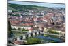 View over Wurzburg from Fortress Marienberg, Franconia, Bavaria, Germany, Europe-Michael Runkel-Mounted Photographic Print