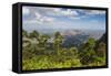 View over Zomba and the Highlands from the Zomba Plateau, Malawi, Africa-Michael Runkel-Framed Stretched Canvas