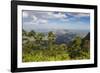 View over Zomba and the Highlands from the Zomba Plateau, Malawi, Africa-Michael Runkel-Framed Photographic Print