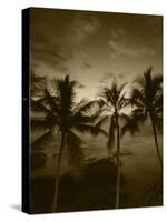 View Palm Trees on Beach, Big Islands, Kona, Hawaii, USA-Stuart Westmorland-Stretched Canvas