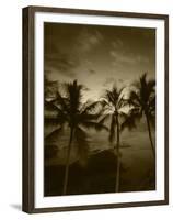 View Palm Trees on Beach, Big Islands, Kona, Hawaii, USA-Stuart Westmorland-Framed Premium Photographic Print