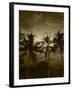 View Palm Trees on Beach, Big Islands, Kona, Hawaii, USA-Stuart Westmorland-Framed Premium Photographic Print