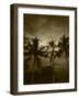 View Palm Trees on Beach, Big Islands, Kona, Hawaii, USA-Stuart Westmorland-Framed Photographic Print