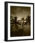 View Palm Trees on Beach, Big Islands, Kona, Hawaii, USA-Stuart Westmorland-Framed Photographic Print