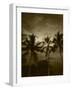 View Palm Trees on Beach, Big Islands, Kona, Hawaii, USA-Stuart Westmorland-Framed Photographic Print