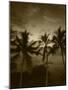 View Palm Trees on Beach, Big Islands, Kona, Hawaii, USA-Stuart Westmorland-Mounted Photographic Print