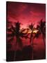 View Palm Trees on Beach, Big Islands, Kona, Hawaii, USA-Stuart Westmorland-Stretched Canvas