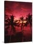 View Palm Trees on Beach, Big Islands, Kona, Hawaii, USA-Stuart Westmorland-Stretched Canvas