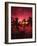 View Palm Trees on Beach, Big Islands, Kona, Hawaii, USA-Stuart Westmorland-Framed Photographic Print