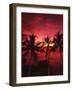 View Palm Trees on Beach, Big Islands, Kona, Hawaii, USA-Stuart Westmorland-Framed Photographic Print