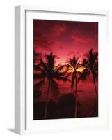 View Palm Trees on Beach, Big Islands, Kona, Hawaii, USA-Stuart Westmorland-Framed Photographic Print