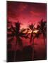 View Palm Trees on Beach, Big Islands, Kona, Hawaii, USA-Stuart Westmorland-Mounted Photographic Print