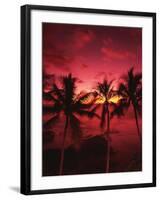 View Palm Trees on Beach, Big Islands, Kona, Hawaii, USA-Stuart Westmorland-Framed Photographic Print