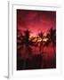 View Palm Trees on Beach, Big Islands, Kona, Hawaii, USA-Stuart Westmorland-Framed Photographic Print