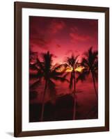 View Palm Trees on Beach, Big Islands, Kona, Hawaii, USA-Stuart Westmorland-Framed Photographic Print