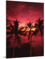 View Palm Trees on Beach, Big Islands, Kona, Hawaii, USA-Stuart Westmorland-Mounted Photographic Print