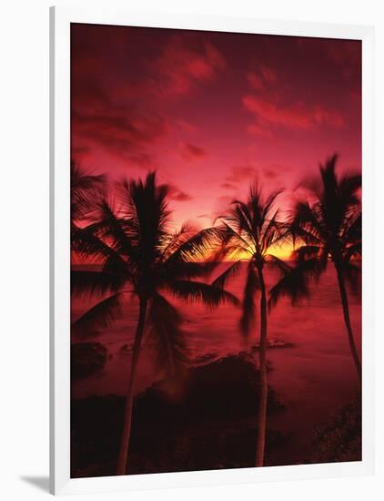 View Palm Trees on Beach, Big Islands, Kona, Hawaii, USA-Stuart Westmorland-Framed Photographic Print