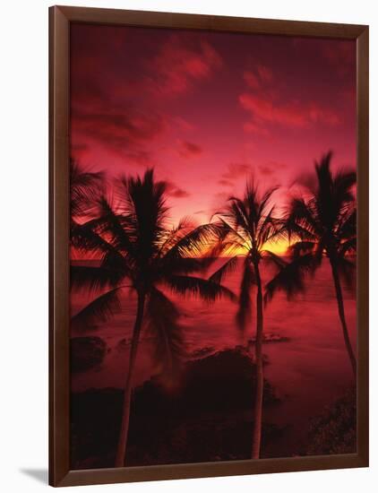 View Palm Trees on Beach, Big Islands, Kona, Hawaii, USA-Stuart Westmorland-Framed Photographic Print