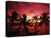 View Palm Trees on Beach, Big Islands, Kona, Hawaii, USA-Stuart Westmorland-Stretched Canvas