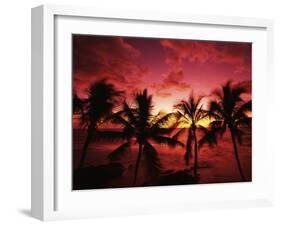 View Palm Trees on Beach, Big Islands, Kona, Hawaii, USA-Stuart Westmorland-Framed Premium Photographic Print