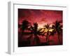 View Palm Trees on Beach, Big Islands, Kona, Hawaii, USA-Stuart Westmorland-Framed Photographic Print