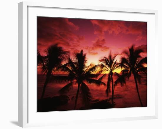 View Palm Trees on Beach, Big Islands, Kona, Hawaii, USA-Stuart Westmorland-Framed Photographic Print