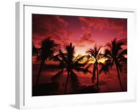 View Palm Trees on Beach, Big Islands, Kona, Hawaii, USA-Stuart Westmorland-Framed Photographic Print