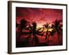 View Palm Trees on Beach, Big Islands, Kona, Hawaii, USA-Stuart Westmorland-Framed Photographic Print