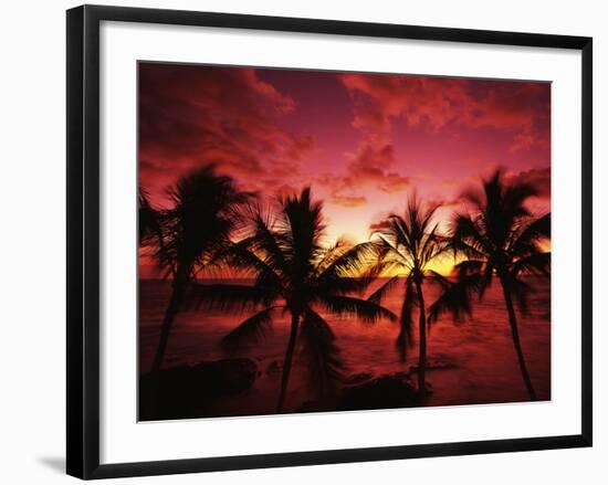 View Palm Trees on Beach, Big Islands, Kona, Hawaii, USA-Stuart Westmorland-Framed Photographic Print