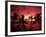 View Palm Trees on Beach, Big Islands, Kona, Hawaii, USA-Stuart Westmorland-Framed Photographic Print