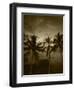 View Palm Trees on Beach, Big Islands, Kona, Hawaii, USA-Stuart Westmorland-Framed Photographic Print