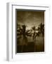 View Palm Trees on Beach, Big Islands, Kona, Hawaii, USA-Stuart Westmorland-Framed Photographic Print