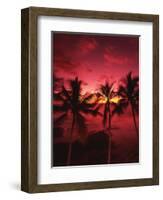 View Palm Trees on Beach, Big Islands, Kona, Hawaii, USA-Stuart Westmorland-Framed Photographic Print