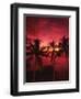 View Palm Trees on Beach, Big Islands, Kona, Hawaii, USA-Stuart Westmorland-Framed Photographic Print