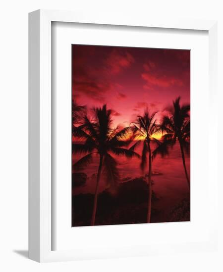 View Palm Trees on Beach, Big Islands, Kona, Hawaii, USA-Stuart Westmorland-Framed Photographic Print